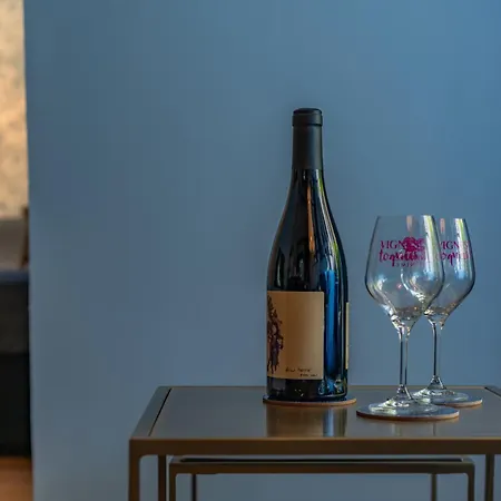 Apartman Le Bleu Jean Denim Arenes - Nuit A Nîmes